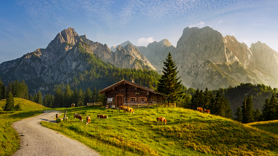 Idyllic landscape in the Alps with traditional mountain chalet and fresh green mountain pastures at sunrise