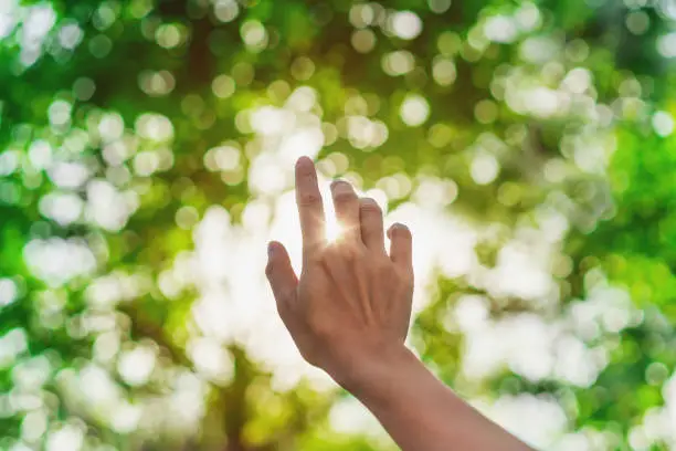 Photo of Young woman hand reaching for the sunrise above the trees in the morning