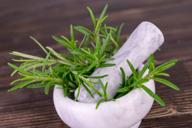 木製の背景に石のモルタルを着たローズマリー。 - rosemary herb isolated ingredient ストックフォトと画像