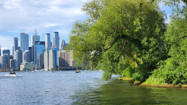 istock City of Toronto 1414803150