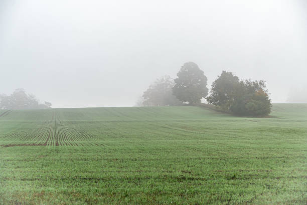 istock Strong fog above field 1414809841