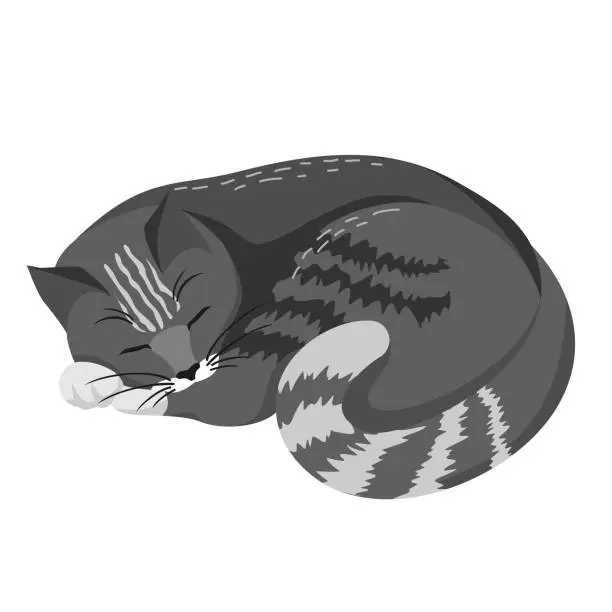 Vector illustration of SLEEPING BLACK CAT