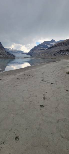 Saskatchewan Glacier Saskatchewan Glacier in Banff National Park. saskatchewan glacier stock pictures, royalty-free photos & images