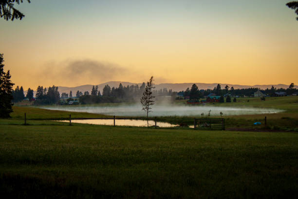 istock Field of Fog 1414814776