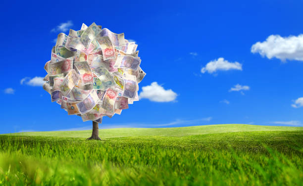 money tree of british pound bills on sunny and green landscape - wealth paper currency incentive money doesnt grow on trees imagens e fotografias de stock