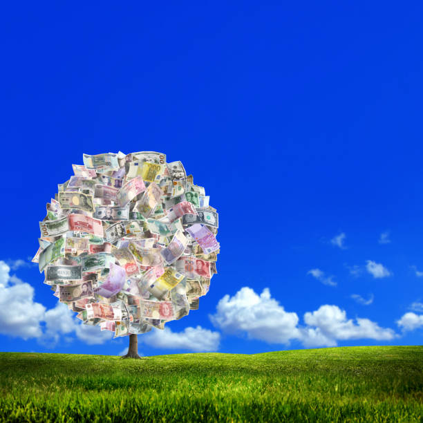 money tree of various global paper currencies on sunny and green landscape - wealth paper currency incentive money doesnt grow on trees imagens e fotografias de stock