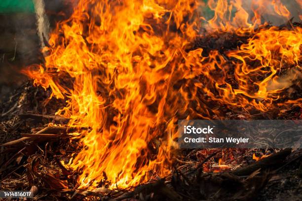A Rapidly Spreading Fire In The Undergrowth Stock Photo Download A Rapidly Spreading Fire In The Undergrowth Stock Photo Download