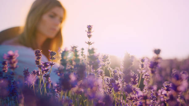 istock Looking for inner peace. Woman picking lavender flowers. Focus on foreground 1414822925