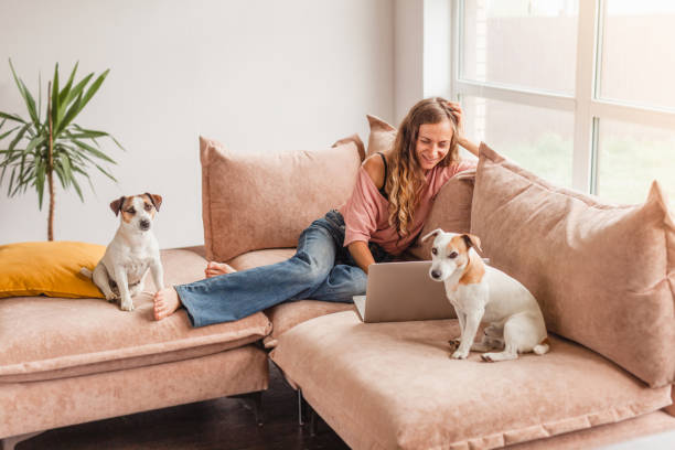 istock Cheerful woman using silver laptop 1414823477
