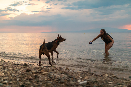 A woman is playing with a dog at the sea. She throws him a ball which he eagerly waits to catch