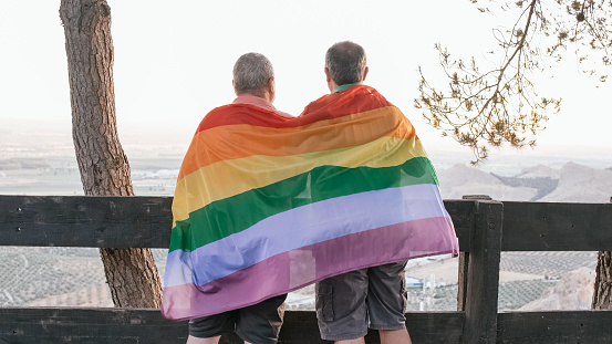 Back view of a middle-aged male couple embracing each other while holding an LGBTQ rainbow flag outdoors. Equality, love and LGBT concept.