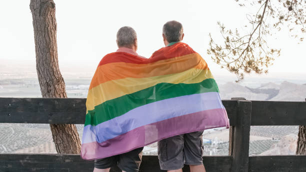 Back view of a male couple embracing each other while holding an LGBT rainbow flag outdoors. stock photo