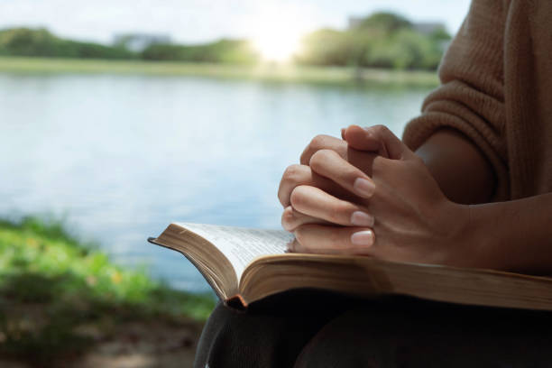 frau hände beten mit einer bibel in den beinen outdoors - bible holding reading book stock-fotos und bilder