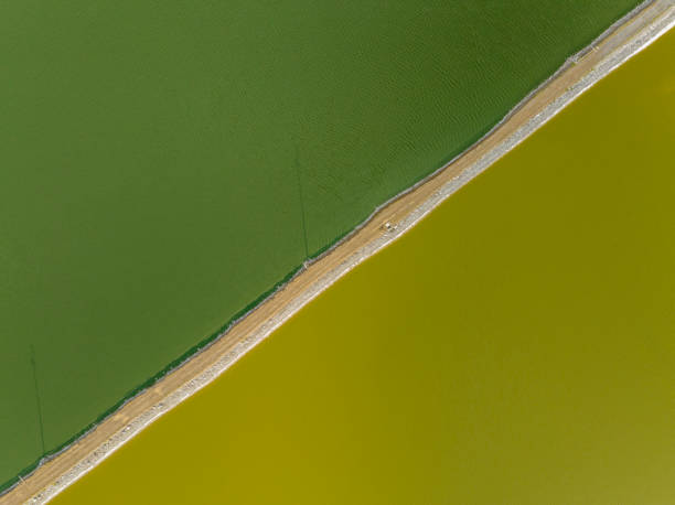 istock Colorful salt and suplhur ponds 1414834506