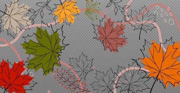 illustrations, cliparts, dessins animés et icônes de feuilles d’érable rouges et jaunes d’automne, gabarit web fond transparent - vecteur - autumn leaf nature november