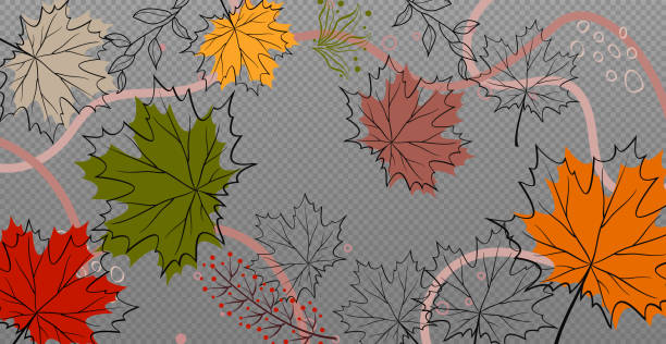 가을 빨간색과 노란색 단풍 나무 잎, 웹 템플릿 투명한 배경 - 벡터 - autumn leaf nature november stock illustrations