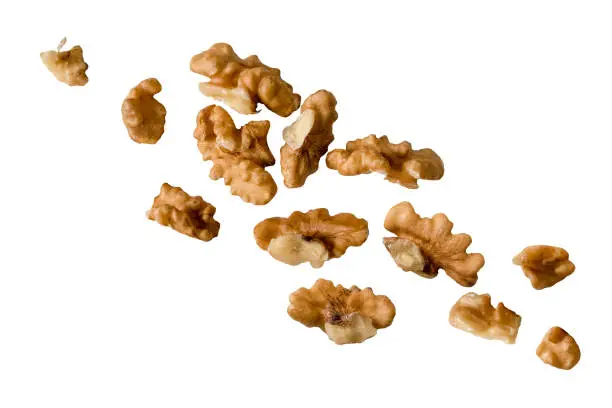 flying walnut kernels. Walnut kernels peeled isolated on white background