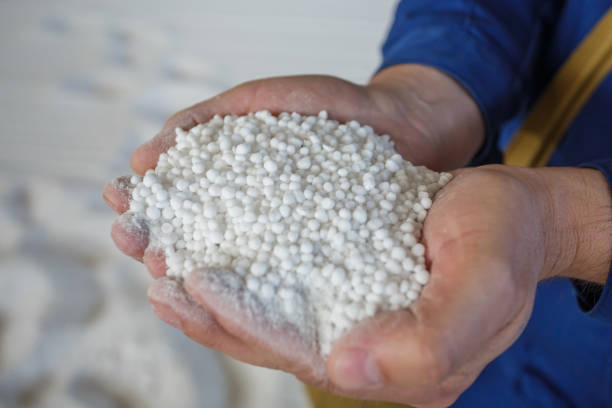 istock Plant worker holds granules of nitrogen fertilizer. 1414842256