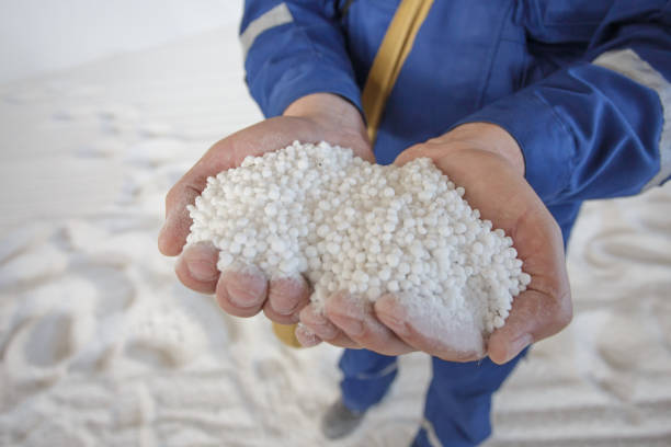 istock Plant worker holds granules of nitrogen fertilizer. 1414842267