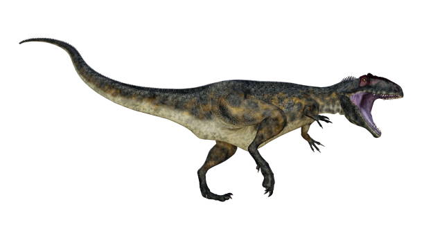 istock Terrifying giganotosaurus dinosaur roaring - 3D render 1414845511