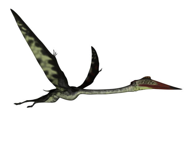 istock Quetzalcoatlus flying peacefully ahead - 3D render 1414845567