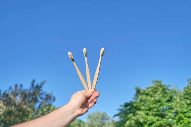 istock Hand holding eco bamboo toothbrushes outdoors. Sustainable lifestyle, no plastic 1414846540