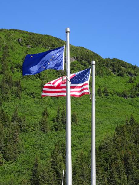 Alaskan and American Flags Chugach National Park off of the Seward Highway near Anchorage Alaska chugach national forest photos stock pictures, royalty-free photos & images