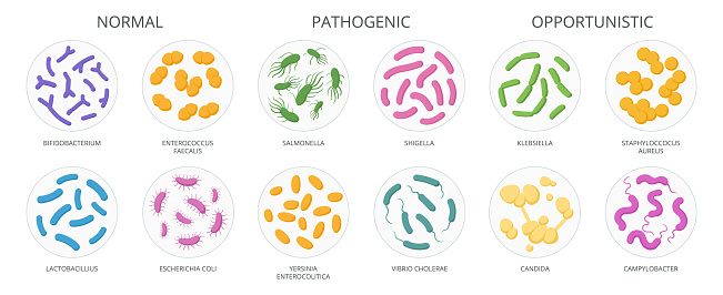 Cartoon bacteria, biological microorganism, good and bad microbiota. Microbes and bacteria, normal flora microorganism flat vector illustration set. Good and bad bacteria collection