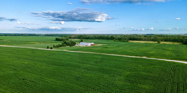 istock Rural Wisconsin Farm with Forest 1414847966