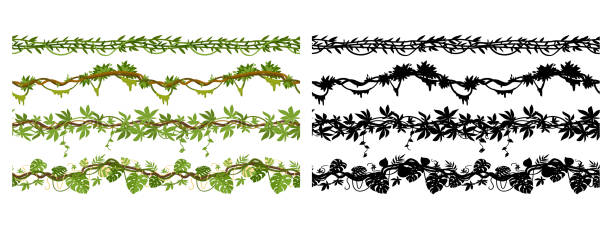 만화 정글 리아나 가지, 매달려있는 크리퍼 원활한 분배기. 꽃과 단풍 플랫 벡터 일러스트 레이 션 세트가있는 열대 녹색 리아나 식물. 정글 열대 우림 리아나 실루엣 - backgrounds ivy leaf green stock illustrations