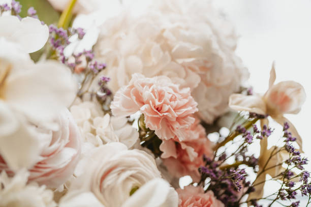 istock Beautiful flowers close-up 1414849423