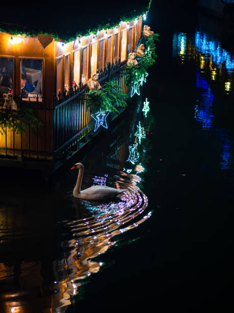 Magical Christmas in Colmar