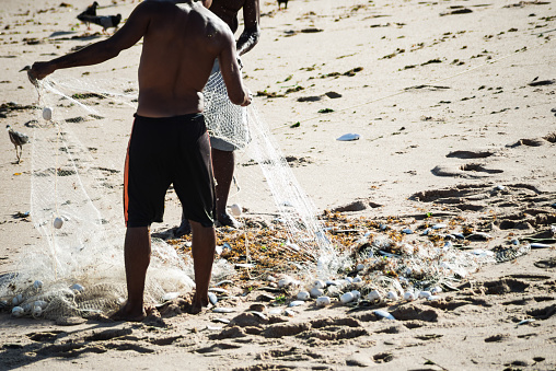 Salvador, Bahia, Brazil - November 01, 2021: Two fishermen collecting fishing net with fish on the beach of Rio Vermelho in Salvador, Bahia.