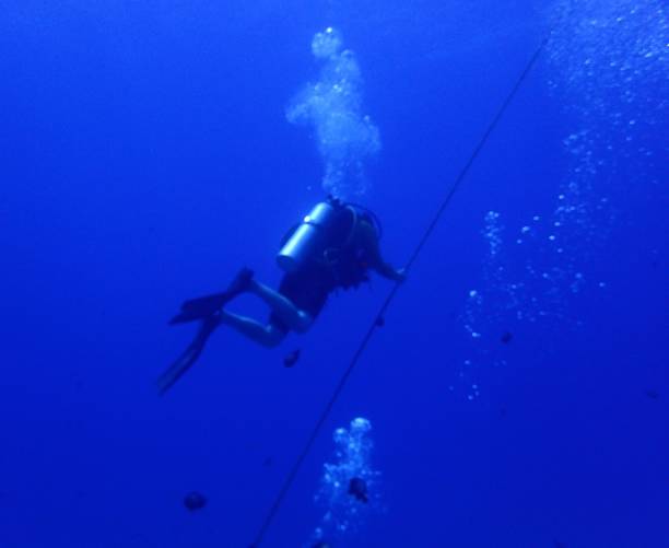istock Scuba diver on shot line 1414853410