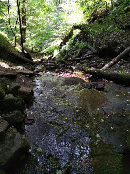 istock In the Wolfsschlucht near Zwingenberg 1414855339