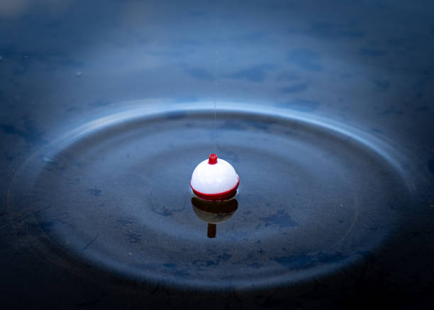 istock Bobber In The Water 1414858115