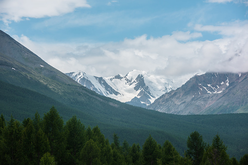Gloomy alpine landscape with dark green forest with view to high snowy mountain peak in low clouds. Dark atmospheric mountain scenery with coniferous forest and large snow mountain range in cloudy sky