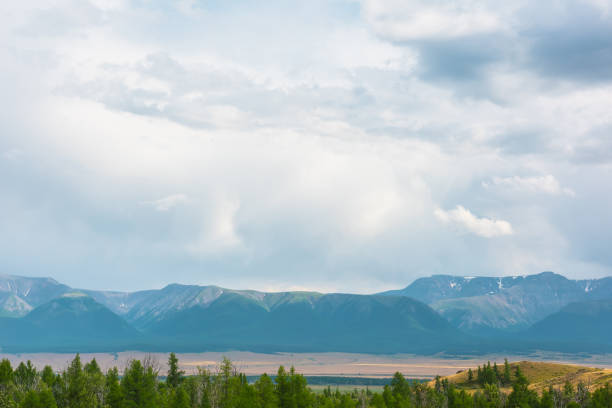 vue spectaculaire de la forêt à la haute chaîne de montagnes à la lumière du soleil pendant la pluie par temps changeant. paysage coloré avec forêt verte et steppe ensoleillée contre de grandes montagnes sous un ciel nuageux sous la pluie. - grass area hill sky mountain range photos et images de collection