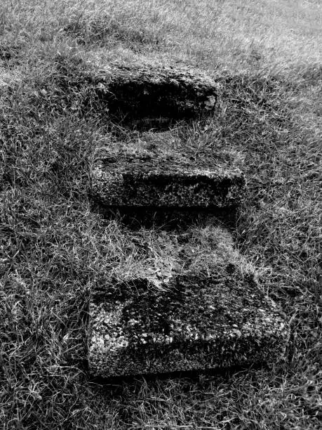 Photo of Black and White Photo of Three Steps in Grass. Growth, progression, moving up, development