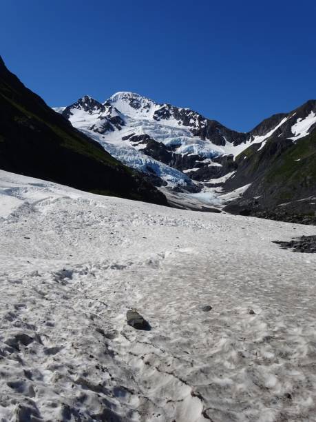 istock Portage Glacier, Alaska 1414871306