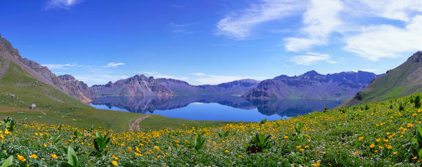 istock Wildflowers of Mt. Baekdu. 1414871656