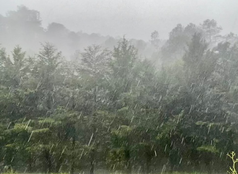 Thunderstorm and rain with pine trees and fog in San Cristóbal de las Casas, Chiapas, Mexico.