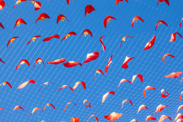 Silk fan on blue sky background