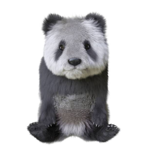 istock Panda cub 3d illustration isolated white background 1414882374