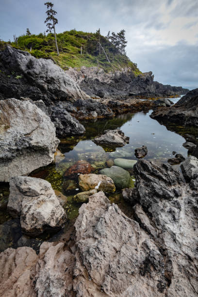 istock Wild Pacific Trail, Vancouver Island, B.C. 1414892379