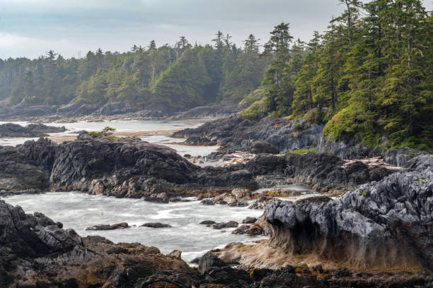 istock Wild Pacific Trail, Vancouver Island, B.C. 1414894372