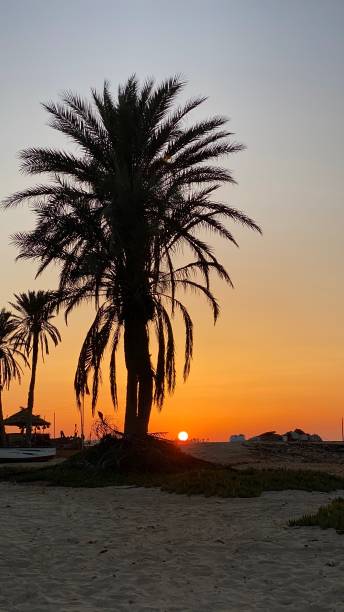 istock sunrise on island of Djerba 1414896500