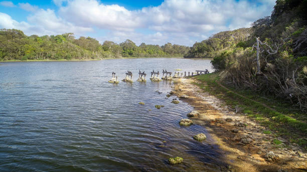 istock Lake Bunga in East Gippsland 1414896528