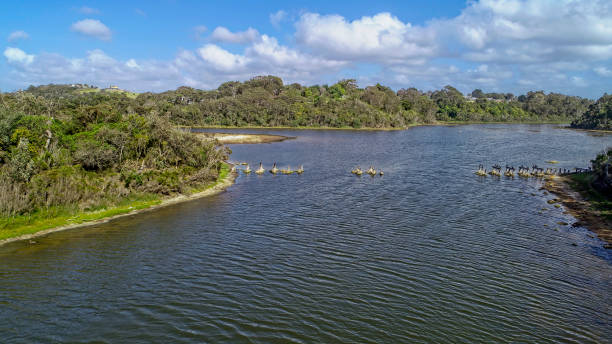 istock Lake Bunga in East Gippsland 1414896581