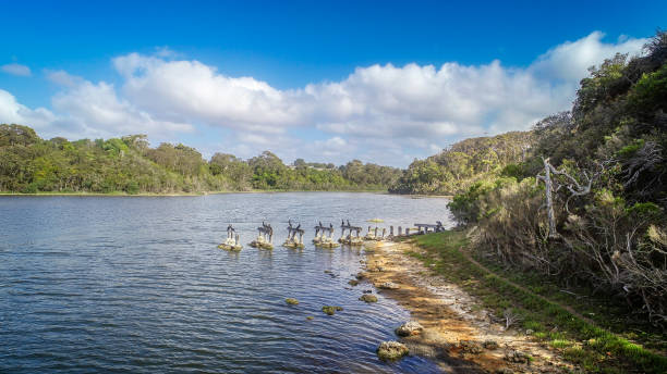 istock Lake Bunga in East Gippsland 1414896629